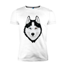 Мужская футболка премиум с принтом Хаски с разными глазами в Санкт-Петербурге, 92% хлопок, 8% лайкра | приталенный силуэт, круглый вырез ворота, длина до линии бедра, короткий рукав | домашние животные | пес | собака