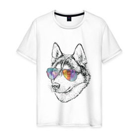 Мужская футболка хлопок с принтом Хаски в очках в Санкт-Петербурге, 100% хлопок | прямой крой, круглый вырез горловины, длина до линии бедер, слегка спущенное плечо. | бандит | домашние животные | пес | песик | собака | собачка | хаски | хаски бандит