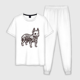 Мужская пижама хлопок с принтом Бульдог ренген в Санкт-Петербурге, 100% хлопок | брюки и футболка прямого кроя, без карманов, на брюках мягкая резинка на поясе и по низу штанин
 | Тематика изображения на принте: бульдог | домашние животные | пес | песик | собака | собачка | французский бульдог