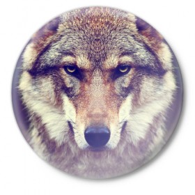 Значок с принтом Wolf в Санкт-Петербурге,  металл | круглая форма, металлическая застежка в виде булавки | animal | волк | хищник