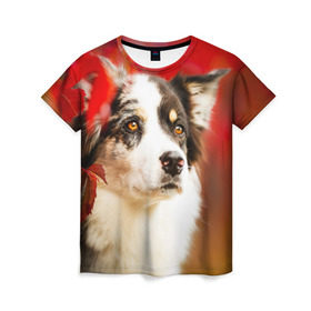 Женская футболка 3D с принтом Бордер колли в красных листьях в Санкт-Петербурге, 100% полиэфир ( синтетическое хлопкоподобное полотно) | прямой крой, круглый вырез горловины, длина до линии бедер | border collie | dog | бордер колли | красный | листья | осень | собака