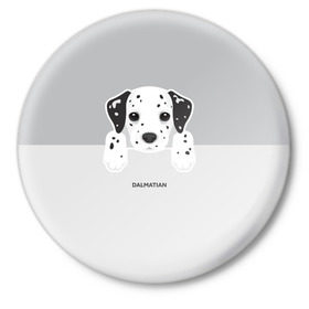 Значок с принтом Dalmatian Puppy в Санкт-Петербурге,  металл | круглая форма, металлическая застежка в виде булавки | далматин | далматинец | домашние животные | пес | песик | собака | собачка | терьер | шпиц