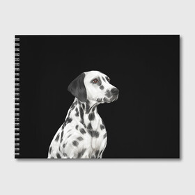 Альбом для рисования с принтом Далматинец арт в Санкт-Петербурге, 100% бумага
 | матовая бумага, плотность 200 мг. | далматин | далматинец | домашние животные | пес | песик | собака | собачка | терьер | шпиц