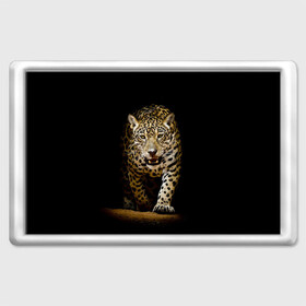 Магнит 45*70 с принтом Leopard в Санкт-Петербурге, Пластик | Размер: 78*52 мм; Размер печати: 70*45 | Тематика изображения на принте: дикая кошка | зверь | клыки | кот | леопард | оскал | пантера | природа | хищник | ягуар