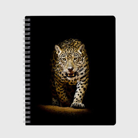 Тетрадь с принтом Leopard в Санкт-Петербурге, 100% бумага | 48 листов, плотность листов — 60 г/м2, плотность картонной обложки — 250 г/м2. Листы скреплены сбоку удобной пружинной спиралью. Уголки страниц и обложки скругленные. Цвет линий — светло-серый
 | дикая кошка | зверь | клыки | кот | леопард | оскал | пантера | природа | хищник | ягуар