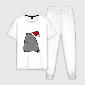 Мужская пижама хлопок с принтом New Year Cat в Санкт-Петербурге, 100% хлопок | брюки и футболка прямого кроя, без карманов, на брюках мягкая резинка на поясе и по низу штанин
 | кот | новогодний | рождество | шапка