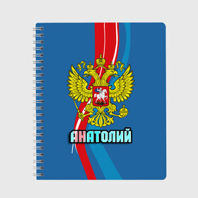 Тетрадь с принтом Герб Анатолий в Санкт-Петербурге, 100% бумага | 48 листов, плотность листов — 60 г/м2, плотность картонной обложки — 250 г/м2. Листы скреплены сбоку удобной пружинной спиралью. Уголки страниц и обложки скругленные. Цвет линий — светло-серый
 | Тематика изображения на принте: анатолий | герб | имена | орел | патриот | россия | страна | толик | толя