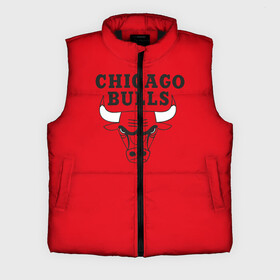 Мужской жилет утепленный 3D с принтом Chicago Bulls в Санкт-Петербурге,  |  | bulls | chicago | chicago bulls | nba | баскетбол | буллз | нба | чикаго буллз
