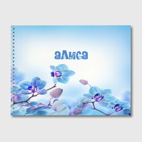 Альбом для рисования с принтом Алиса в Санкт-Петербурге, 100% бумага
 | матовая бумага, плотность 200 мг. | flower | name | spring | алиса | букет | весна | имена | имя | природа | узор | цветочный | цветы