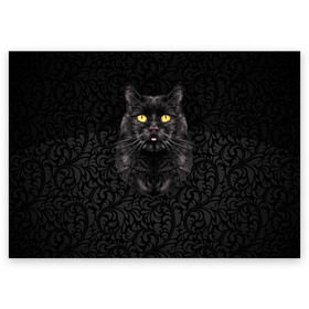 Поздравительная открытка с принтом Чёрный котик в Санкт-Петербурге, 100% бумага | плотность бумаги 280 г/м2, матовая, на обратной стороне линовка и место для марки
 | Тематика изображения на принте: кошка | чёрная
