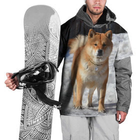 Накидка на куртку 3D с принтом Акита-ину в Санкт-Петербурге, 100% полиэстер |  | Тематика изображения на принте: акита | животное | животные | ину | овчарка | пес | песик | псы | сиба | собака | собаки | шиба