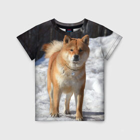 Детская футболка 3D с принтом Акита-ину в Санкт-Петербурге, 100% гипоаллергенный полиэфир | прямой крой, круглый вырез горловины, длина до линии бедер, чуть спущенное плечо, ткань немного тянется | Тематика изображения на принте: акита | животное | животные | ину | овчарка | пес | песик | псы | сиба | собака | собаки | шиба