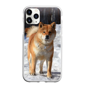 Чехол для iPhone 11 Pro матовый с принтом Акита-ину в Санкт-Петербурге, Силикон |  | Тематика изображения на принте: акита | животное | животные | ину | овчарка | пес | песик | псы | сиба | собака | собаки | шиба
