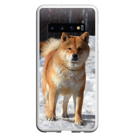 Чехол для Samsung Galaxy S10 с принтом Акита-ину в Санкт-Петербурге, Силикон | Область печати: задняя сторона чехла, без боковых панелей | Тематика изображения на принте: акита | животное | животные | ину | овчарка | пес | песик | псы | сиба | собака | собаки | шиба