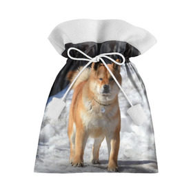 Подарочный 3D мешок с принтом Акита-ину в Санкт-Петербурге, 100% полиэстер | Размер: 29*39 см | Тематика изображения на принте: акита | животное | животные | ину | овчарка | пес | песик | псы | сиба | собака | собаки | шиба