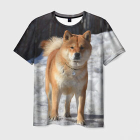 Мужская футболка 3D с принтом Акита-ину в Санкт-Петербурге, 100% полиэфир | прямой крой, круглый вырез горловины, длина до линии бедер | Тематика изображения на принте: акита | животное | животные | ину | овчарка | пес | песик | псы | сиба | собака | собаки | шиба