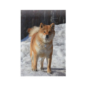 Обложка для паспорта матовая кожа с принтом Акита-ину в Санкт-Петербурге, натуральная матовая кожа | размер 19,3 х 13,7 см; прозрачные пластиковые крепления | акита | животное | животные | ину | овчарка | пес | песик | псы | сиба | собака | собаки | шиба
