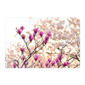 Магнитный плакат 3Х2 с принтом Сакура в Санкт-Петербурге, Полимерный материал с магнитным слоем | 6 деталей размером 9*9 см | деревья | красота | небо | природа | сакура | цветение | цветы | япония