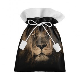 Подарочный 3D мешок с принтом Лев в Санкт-Петербурге, 100% полиэстер | Размер: 29*39 см | Тематика изображения на принте: животные | кошка | лев | мордочка | природа | тигр | хищник