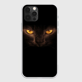 Чехол для iPhone 12 Pro Max с принтом Кошачий Взгляд в Санкт-Петербурге, Силикон |  | глаза | желтый | кот | котейка | котенок | котик | котя | кошка | усатый