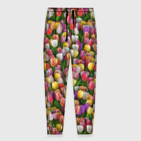 Мужские брюки 3D с принтом Разноцветные тюльпаны в Санкт-Петербурге, 100% полиэстер | манжеты по низу, эластичный пояс регулируется шнурком, по бокам два кармана без застежек, внутренняя часть кармана из мелкой сетки | 8 марта | tulip | белый | букет | желтый | зеленый | красный | паттерн | розовый | тюльпан | тюльпанчики | цветок | цветочки | цветы