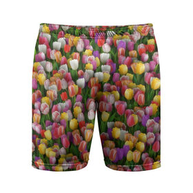 Мужские шорты 3D спортивные с принтом Разноцветные тюльпаны в Санкт-Петербурге,  |  | 8 марта | tulip | белый | букет | желтый | зеленый | красный | паттерн | розовый | тюльпан | тюльпанчики | цветок | цветочки | цветы