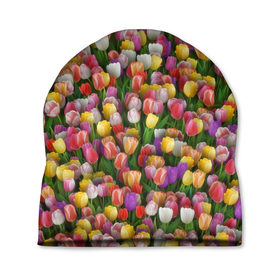 Шапка 3D с принтом Разноцветные тюльпаны в Санкт-Петербурге, 100% полиэстер | универсальный размер, печать по всей поверхности изделия | Тематика изображения на принте: 8 марта | tulip | белый | букет | желтый | зеленый | красный | паттерн | розовый | тюльпан | тюльпанчики | цветок | цветочки | цветы