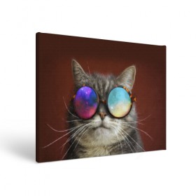 Холст прямоугольный с принтом котейки в Санкт-Петербурге, 100% ПВХ |  | Тематика изображения на принте: cat | взгляд | космос | кот | котик | очки