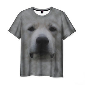 Мужская футболка 3D с принтом Лабрадор в Санкт-Петербурге, 100% полиэфир | прямой крой, круглый вырез горловины, длина до линии бедер | Тематика изображения на принте: голова | животные | лабрадор | пес | природа | собака | собачка | щенок