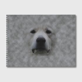 Альбом для рисования с принтом Лабрадор в Санкт-Петербурге, 100% бумага
 | матовая бумага, плотность 200 мг. | Тематика изображения на принте: голова | животные | лабрадор | пес | природа | собака | собачка | щенок