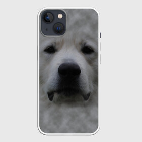Чехол для iPhone 13 с принтом Лабрадор в Санкт-Петербурге,  |  | голова | животные | лабрадор | пес | природа | собака | собачка | щенок