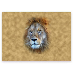 Поздравительная открытка с принтом Лев в Санкт-Петербурге, 100% бумага | плотность бумаги 280 г/м2, матовая, на обратной стороне линовка и место для марки
 | Тематика изображения на принте: голова | животные | кошка | лев | львица | природа | хищник