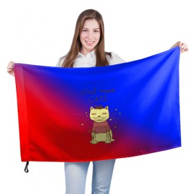Флаг 3D с принтом Нужен еще котик в Санкт-Петербурге, 100% полиэстер | плотность ткани — 95 г/м2, размер — 67 х 109 см. Принт наносится с одной стороны | cat | взгляд | кот | кот хипстер | котёнок | котятки | котятушки | кошечки | кошка | мордочка