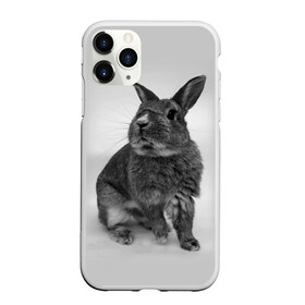 Чехол для iPhone 11 Pro Max матовый с принтом Кролик в Санкт-Петербурге, Силикон |  | заяц | кролик