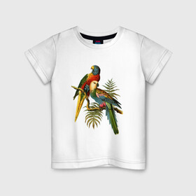 Детская футболка хлопок с принтом Попугаи в Санкт-Петербурге, 100% хлопок | круглый вырез горловины, полуприлегающий силуэт, длина до линии бедер | ветки | винтаж | листья | пальмы | перья | попугаи | птицы