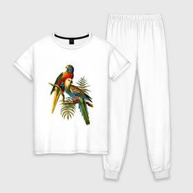Женская пижама хлопок с принтом Попугаи в Санкт-Петербурге, 100% хлопок | брюки и футболка прямого кроя, без карманов, на брюках мягкая резинка на поясе и по низу штанин | ветки | винтаж | листья | пальмы | перья | попугаи | птицы
