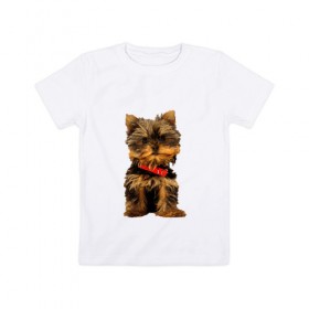 Детская футболка хлопок с принтом Нарисованный йорк в Санкт-Петербурге, 100% хлопок | круглый вырез горловины, полуприлегающий силуэт, длина до линии бедер | йорк | йоркширский терьер | нарисованная собака | собаки