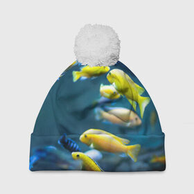 Шапка 3D c помпоном с принтом Рыбки в Санкт-Петербурге, 100% полиэстер | универсальный размер, печать по всей поверхности изделия | fish | fishes | pisces | море | морские обитатели | морской | океан | рыбы
