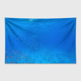 Флаг-баннер с принтом Море в Санкт-Петербурге, 100% полиэстер | размер 67 х 109 см, плотность ткани — 95 г/м2; по краям флага есть четыре люверса для крепления | fish | fishes | pisces | море | морские обитатели | морской | океан | рыбы
