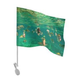 Флаг для автомобиля с принтом abyssal fishes в Санкт-Петербурге, 100% полиэстер | Размер: 30*21 см | Тематика изображения на принте: fish | fishes | pisces | море | морские обитатели | морской | океан | рыбы