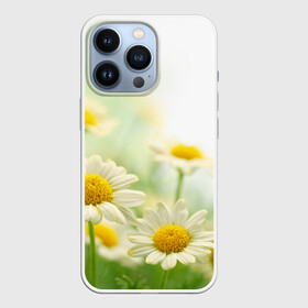 Чехол для iPhone 13 Pro с принтом Полевые ромашки в Санкт-Петербурге,  |  | луг | поле | цветы