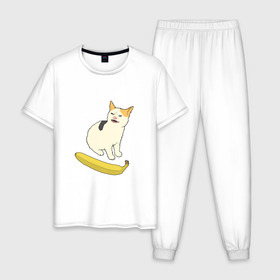 Мужская пижама хлопок с принтом Cat no banana в Санкт-Петербурге, 100% хлопок | брюки и футболка прямого кроя, без карманов, на брюках мягкая резинка на поясе и по низу штанин
 | angry cat | banana | cat | no banana
