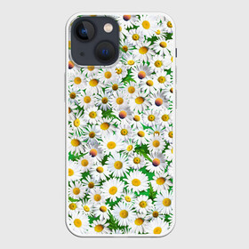 Чехол для iPhone 13 mini с принтом Ромашки в Санкт-Петербурге,  |  | chamomile | daisies | flowers | nature | природа | растения | ромашки | текстура | цветы