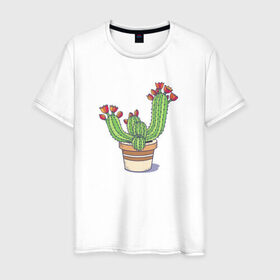 Мужская футболка хлопок с принтом Кактус в Санкт-Петербурге, 100% хлопок | прямой крой, круглый вырез горловины, длина до линии бедер, слегка спущенное плечо. | Тематика изображения на принте: горшок | растение | цветет | цветок