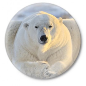 Значок с принтом Медведь в Санкт-Петербурге,  металл | круглая форма, металлическая застежка в виде булавки | animal | bear | животное | зверь | медведь | миша | россия