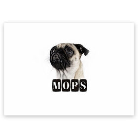 Поздравительная открытка с принтом Мопс в Санкт-Петербурге, 100% бумага | плотность бумаги 280 г/м2, матовая, на обратной стороне линовка и место для марки
 | Тематика изображения на принте: mops | животные | мопс | собака