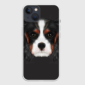 Чехол для iPhone 13 с принтом Cavalier King Charles в Санкт-Петербурге,  |  | голова | собака | спаниель