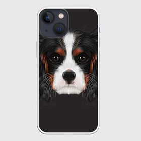 Чехол для iPhone 13 mini с принтом Cavalier King Charles в Санкт-Петербурге,  |  | голова | собака | спаниель