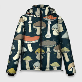 Мужская зимняя куртка 3D с принтом Загадочный лес в Санкт-Петербурге, верх — 100% полиэстер; подкладка — 100% полиэстер; утеплитель — 100% полиэстер | длина ниже бедра, свободный силуэт Оверсайз. Есть воротник-стойка, отстегивающийся капюшон и ветрозащитная планка. 

Боковые карманы с листочкой на кнопках и внутренний карман на молнии. | грибы | паттерн