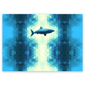 Поздравительная открытка с принтом Акула в Санкт-Петербурге, 100% бумага | плотность бумаги 280 г/м2, матовая, на обратной стороне линовка и место для марки
 | shark | водолаз | гарпун | глубина | дельфин | злость | зубы | кит | кровь | курорт | лето | море | океан | отдых | охота | плавник | пляж | риф | рыба | хищник | челюсти | челюсть